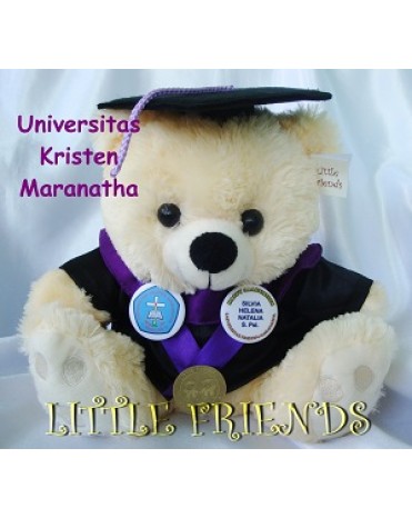 Boneka Wisuda Universitas Kristen Maranatha - Psikologi (30 cm)